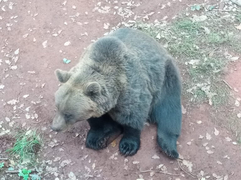 Výlet do Zooparku Chomutov