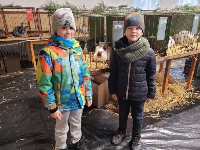 Výstava hospodářského zvířectva v Kněževsi