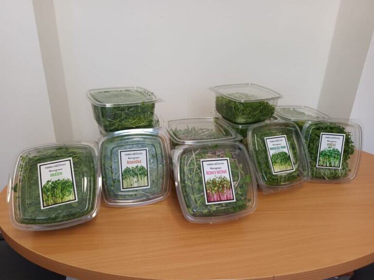 Vítali jsme jaro ochutnávkou microgreens