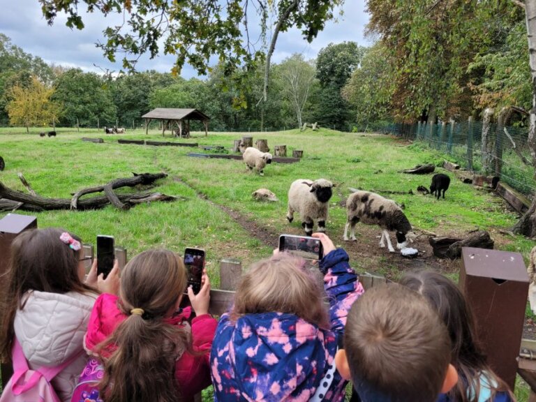 Výlet žáků 1. stupně do ZOO Chomutov