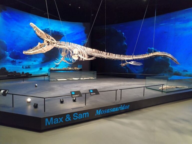 Druhohory – éra plazů