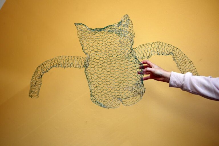 Spolupráce dětí s umělci a Společností pro kreativitu ve vzdělávání: Vytvoření školních časopisů