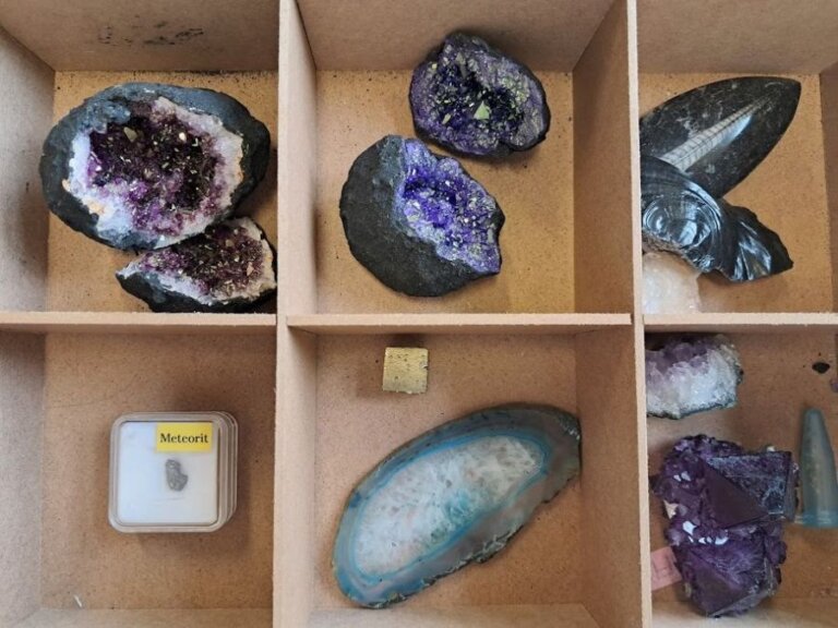 Netradiční hodina Přírodovědy ve 4. třídě