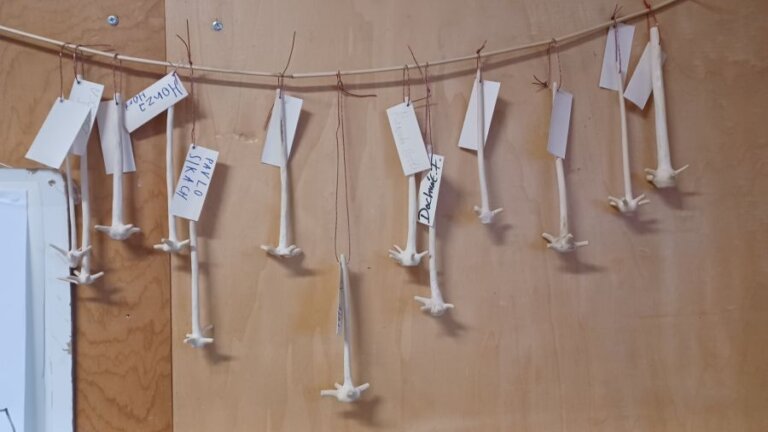 Po vzoru našich otců a dědů….