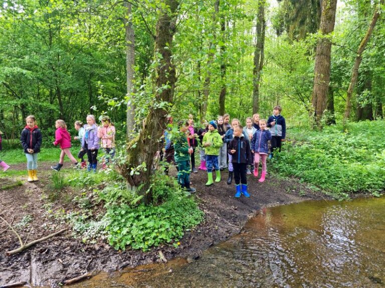 Pobytový kurz dětí z 2. a 5. třídy v Plasích