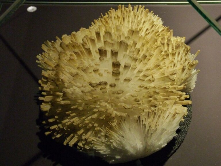 Exkurze do světa minerálů: Krása, která není vůbec nudná