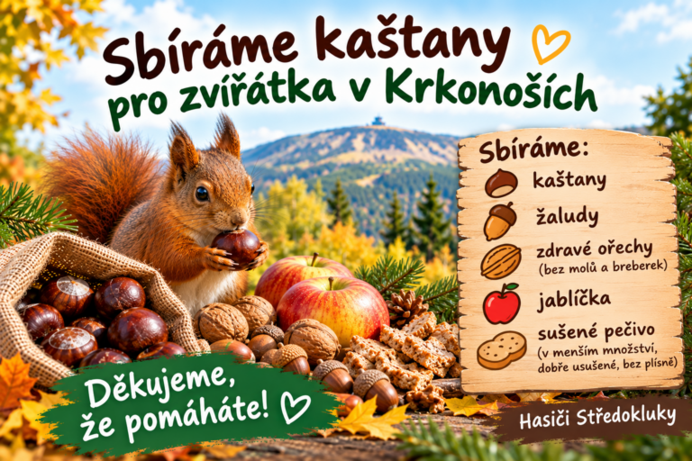 Sbíráme kaštany pro zvířátka v Krkonoších